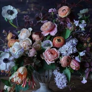 Meet your Posher, Jess